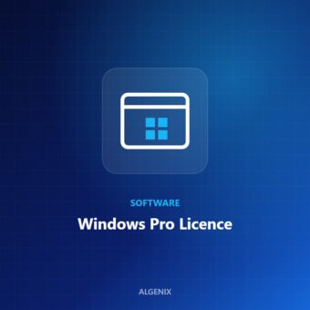 Windows Pro Licence